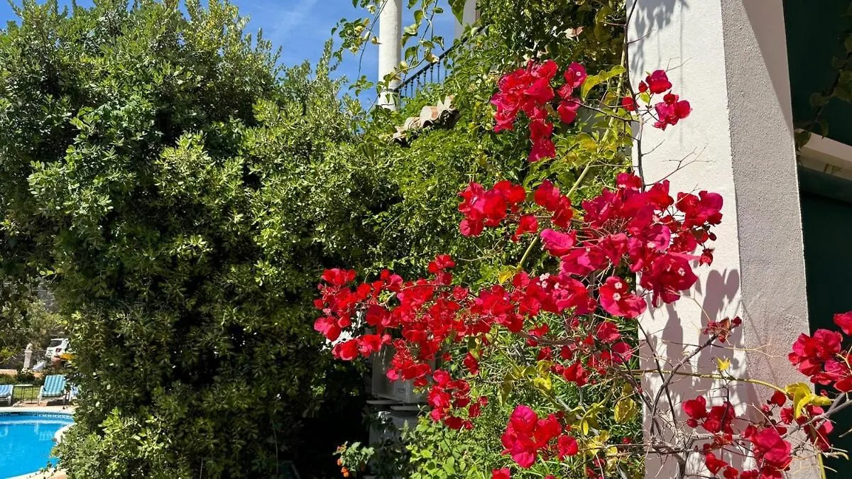 Villa Lasueca Nerja Torrox